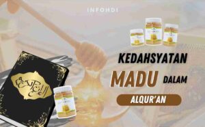 HDI, Info HDI, Produk HDI, Madu, Madu HDI, Clover Honey