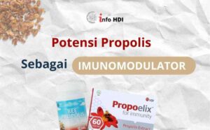 HDI, Info HDI, Propolis, Bee Propolis, Propoelix, Imunomodulator, Propoelix sebagai imunomodulator, bee propolis sebagai imunomodulator, Manfaat bee propolis, Manfaat propoelix