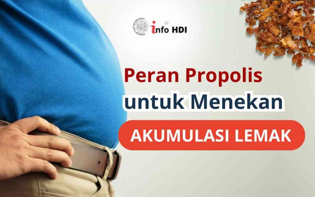 HDI, Produk HDI, Manfaat Produk HDI, Info HDI, Propolis HDI, Propolis untuk Diet, Propolis menurunkan Lemak. Diet Alami bersama HDI