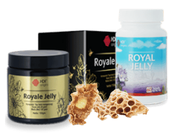 HDI, Info HDI, Produk HDI, Royal Jelly, Manfaat Royal Jelly, HDI Royal Jelly Liquid, HDI Royal Jelly Tablet, Manfaat HDI Royal Jelly, Rahasia Awet Muda HDI, HDI untuk Saraf, HDI untuk Daya Ingat